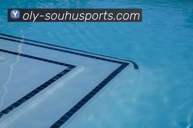 搜狐体育平台生态图