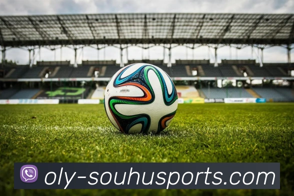 搜狐体育APP 封面图